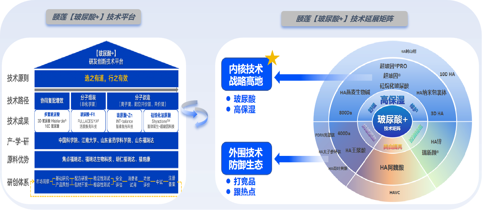 颐莲玻尿酸加技术平台与技术延展矩阵